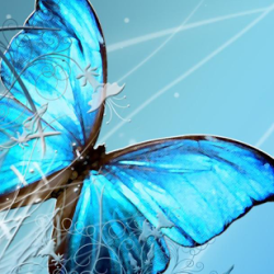 Синята пеперуда (Morpho peleides) – символът на InSighting